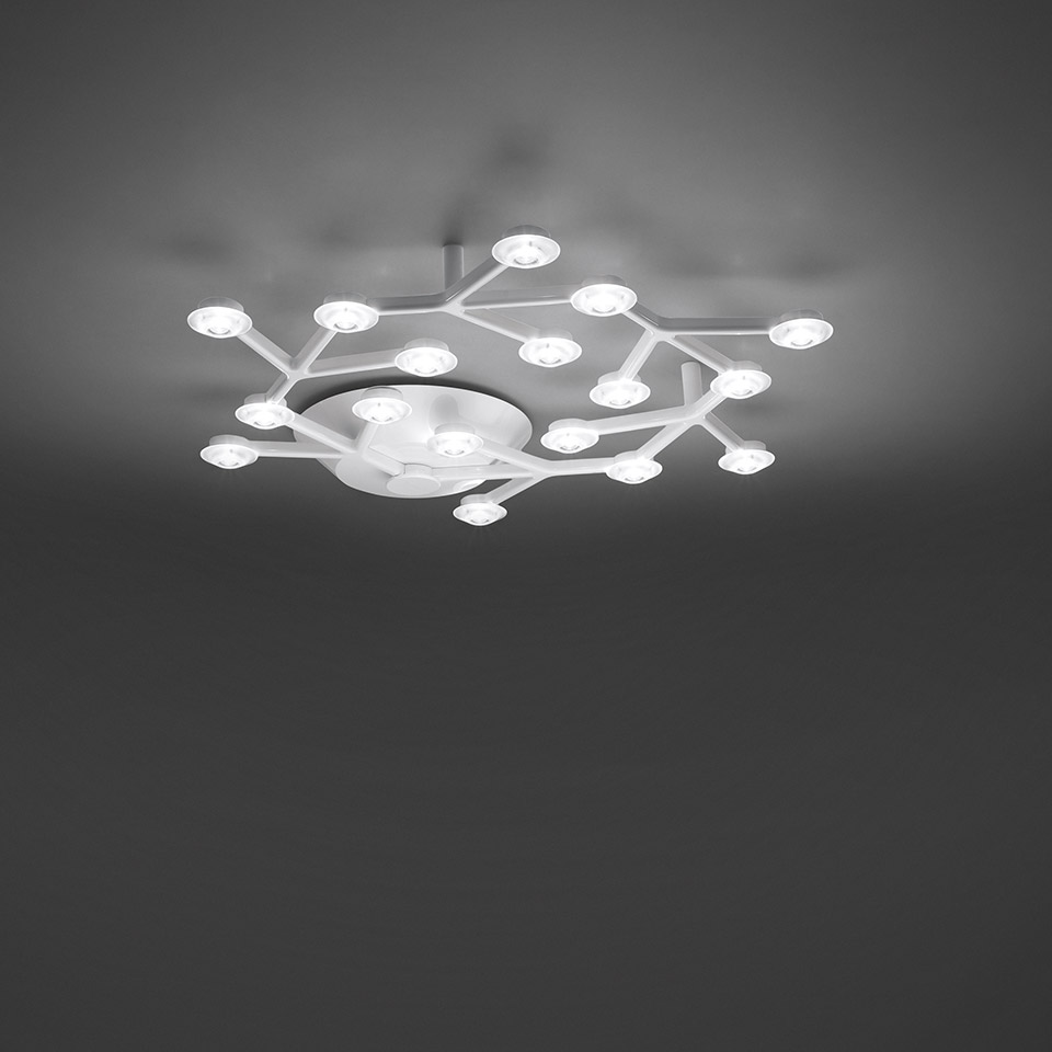 Led Net - Ceiling - App Compatible